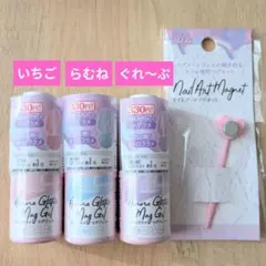 Parkikoi オーロララメ マグジェル 3種 ＆ マグネットセット