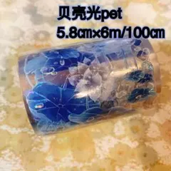 海外マスキングテープ巻売り 藍荷 装飾マステ 贝壳光petテープ