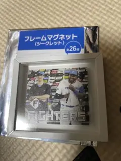 Item thumbnail for item e9f25b61-2291-436e-bf4a-f1232f9a58a3