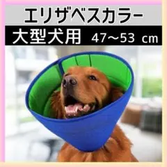 Item thumbnail for item b5b58125-4399-4bf8-95f1-41f0d0012862