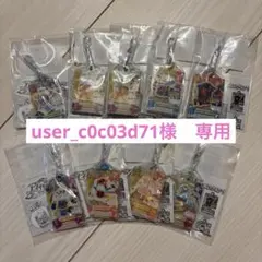 user_c0c03d71様　専用