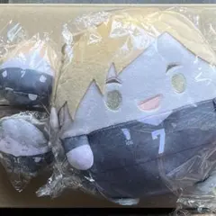 ハイキュー!! くじメイト ふわコロりん てのりんず 宮侑 宮治