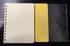 Item thumbnail for item a8c8416f-da0a-4a90-86f1-56c4f5111e8c