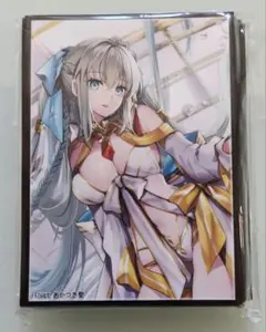 2026年最新】fgo スリーブ モルガンの人気アイテム - メルカリ