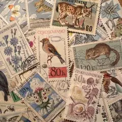 Fleuree＊プロフ必読様 リクエスト 2点 まとめ商品