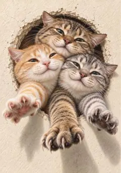 猫デジタルアート写真 L版