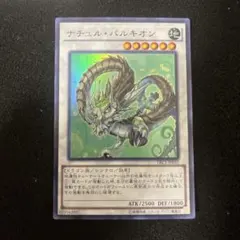 ナチュルパルキオン　管理番号黒