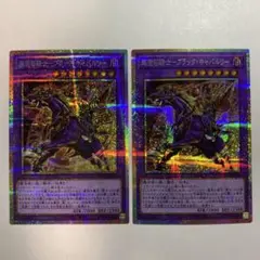 Item thumbnail for item a9f61fa5-0ce0-4306-b2b1-80402ee95e5e