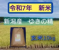 栃木県産農家直売ゆうだい21玄米10kg - メルカリ