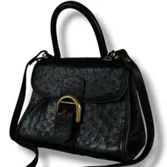 美品 DELVAUX ブリヨン オーストリッチ 2WAY レザー バッグ 黒のサムネイル
