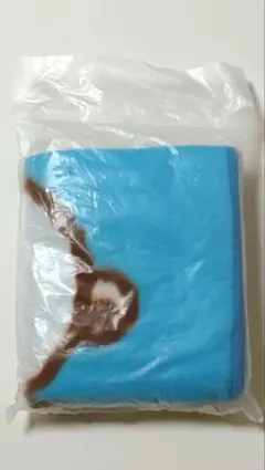 Item thumbnail for item 2a1f1141-ff92-4967-92d5-8cfbdf4e19b3