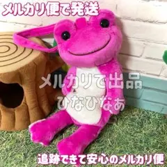 ●かえるのピクルス フルボディポーチ メルカリ便で発送