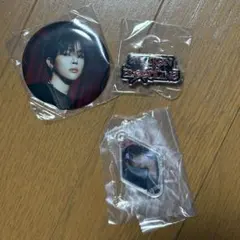 &TEAM アジアツアー 缶バッジ ニコラス NICHOLAS まとめ