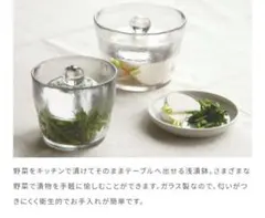 KINTO (キントー) 浅漬鉢　640mlのサムネイル
