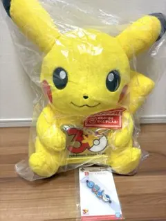 ポケモン 一番くじ ラストワン賞 ピカチュウ30周年記念 メタルチャーム