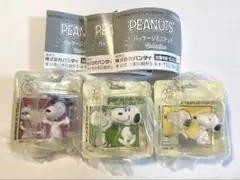 PEANUTS パッケージミニチュアコレクション 3点セット ガチャ スヌーピー