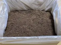 Item thumbnail for item 5481a0d1-3566-4659-baba-f959c7da40d3