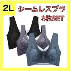 3枚セット 2L シームレスブラ　ワイヤレスブラ ナイトブラ 大きいサイズ882