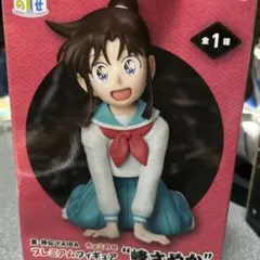 ムサシヤ 碧奇魂ブルーシード 1/8 藤宮紅葉 ガレージキット 完成塗装