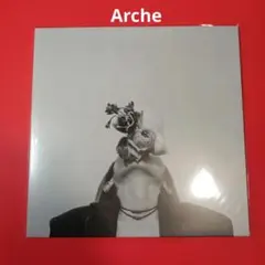 新品sublimated (LP) Archeレコード - メルカリ