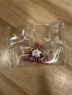 MINITEEN キーホルダー　PPYOPULU