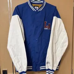 VISION STREET WEAR LAスタジャン