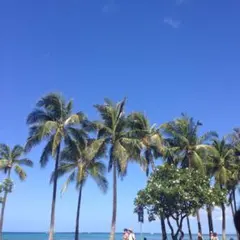 2026年最新】エルベシャプリエ gpラインの人気アイテム - メルカリ