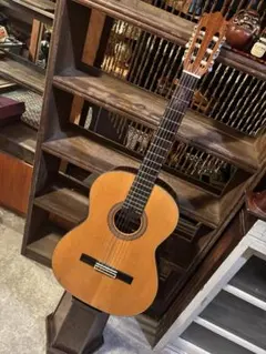 2026年最新】Maruha guitarの人気アイテム - メルカリ
