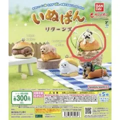 いぬぱんリターンズ　パグ×カレーパン　カプセルトイ