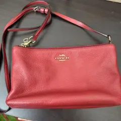 Item thumbnail for item c908435e-cae0-4332-9096-141fe3b95b69