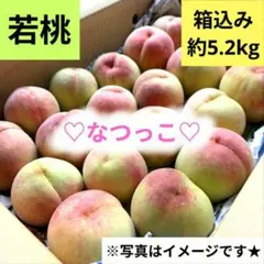 くまねこ様専用 ④⑤2箱【あまとう2号】山梨県産 桃 - メルカリ