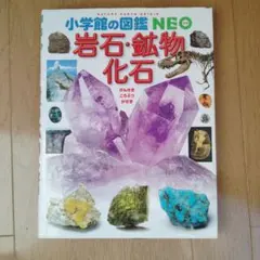 岩石・鉱物・化石