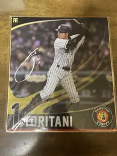 鳥谷敬 サイン入り 記念グッズ 阪神タイガース