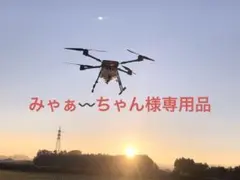 みゃぁ〰️ちゃん様専用品