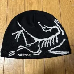 c*e様 【国内正規品】アークテリクス バードヘッドトーク Orca アークテリクス バードヘッドトーク Orca - メルカリ