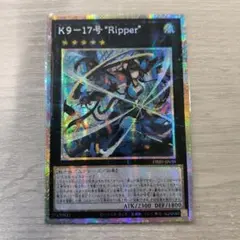 2026年最新】リッパー プリシクの人気アイテム - メルカリ