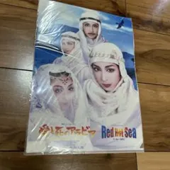 新品 未使用 未開封 宝塚歌劇 クリアファイル 愛と死のアラビア 花組 真飛聖