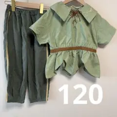 バースデイ　cottoli コトリ ピーターパン コスプレ　セットアップ 120