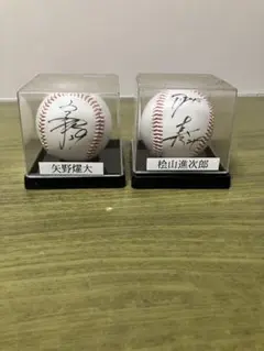 303.阪神タイガース　金本知憲　新井貴浩　サインボール　3点セット サインボール(金本知憲、新井貴浩) - メルカリ