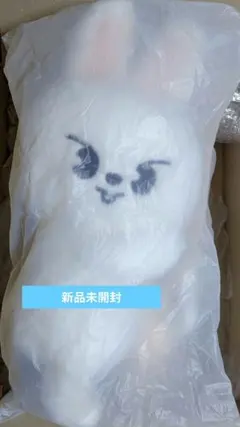 ポップアップ StrayKids SKZOO PLUSH BAG Jinilet - メルカリ