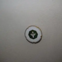 Item thumbnail for item 87430587-dd36-42f9-960c-a9c0bca29bd5