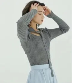SHEERRIBRIBBONKNIT TOPSのサムネイル