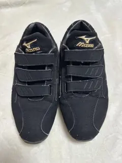 Item thumbnail for item 9b86d39c-fff8-41d2-83f6-bebef1dc7373