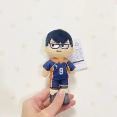 ハイキュー ぬいぐるみ