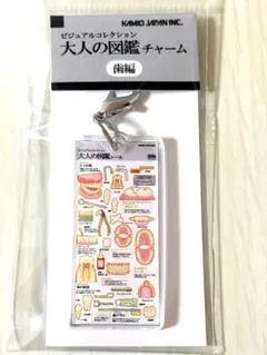 【正規品】大人の図鑑チャーム 歯