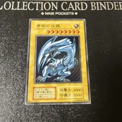 2026年最新】青眼の白龍 ステンレス 未開封の人気アイテム - メルカリ