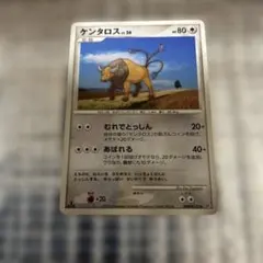 ポケモンカード　ケンタロス