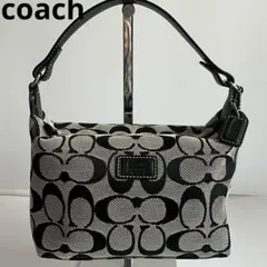 ✨️未使用保管✨️ coach シグネチャー　ポーチ　ハンドバッグ　キャンバス