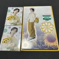 FANTASTICS 木村慧人 トレカ＆アクスタ