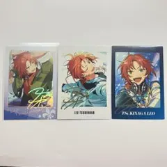 あんスタ 月永レオ ぱしゃっつ vol.4 あんスタ 月永レオ ぱしゃっつ Vol.4 クリアカード サンシャイン